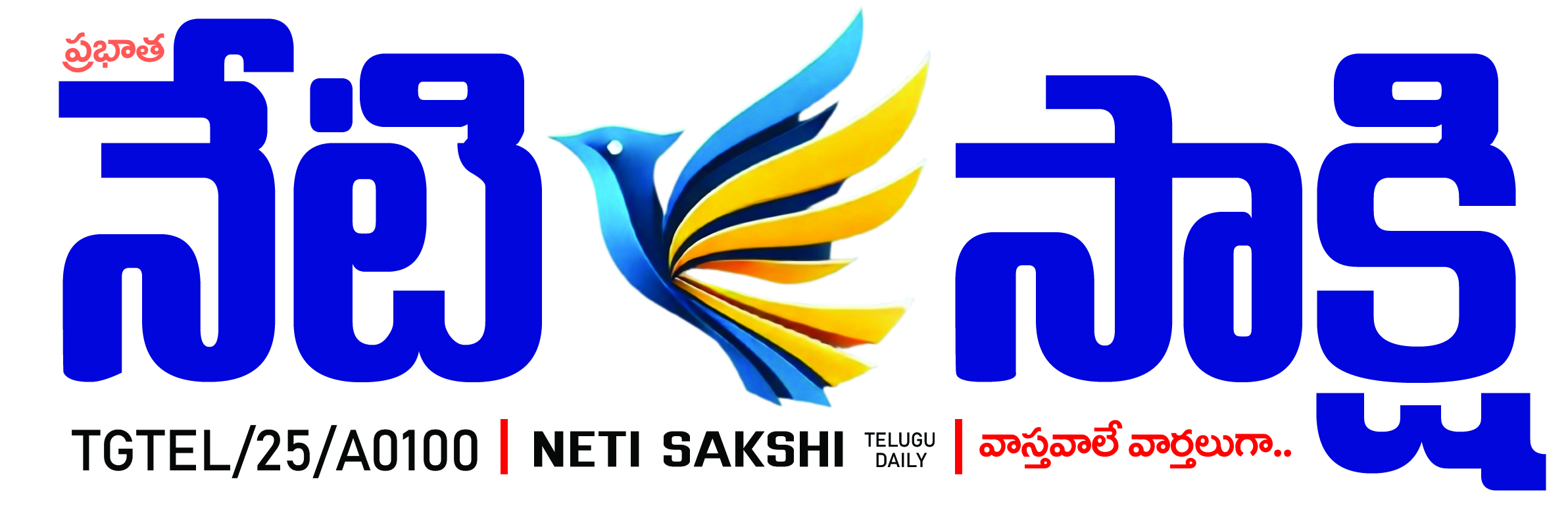 netisakshi.com