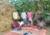 *పేకాట స్థావరాలపై పోలీస్ మెరుపు దాడి***- –